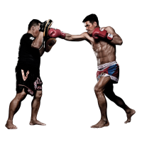 Персональний коучинг: базові навички боксу для новачків