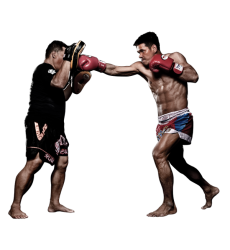 Персональний коучинг: базові навички боксу для новачків