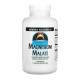 Magnesium Malate 1250mg - 360 tabs