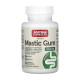 Mastic Gum 1000mg - 60 vcaps