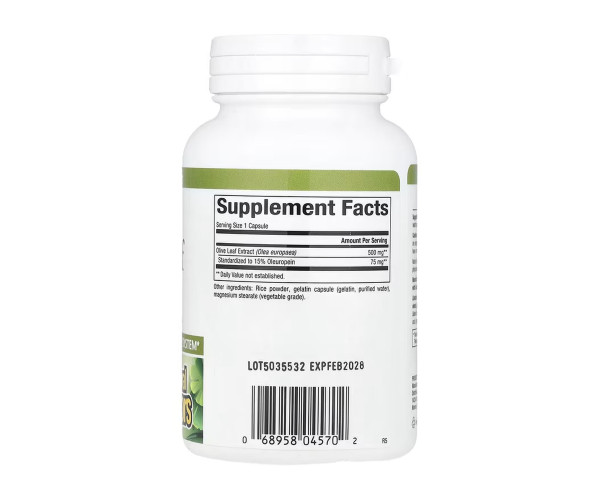 Olive Leaf 500mg - 90 caps