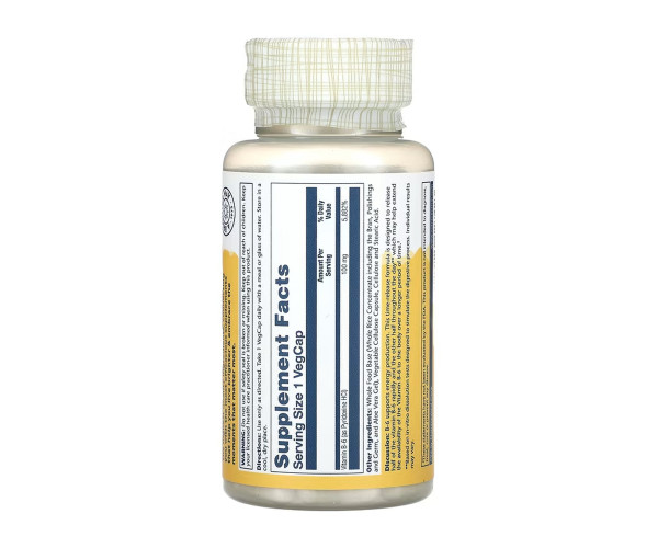 Vitamin B-6 Timed-Release 100mg - 60 vcaps