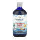 Children's DHA - 473 ml
