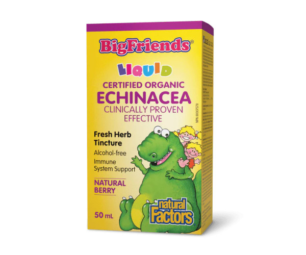 BigFriends Echinacea Alcohol-Free Fresh Herb Tincture for Kids - 50 ml