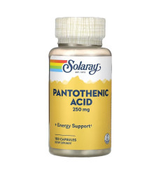 Pantothenic Acid 250mg - 100 caps