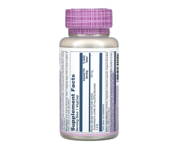 Bacopa 100mg - 60 vcaps