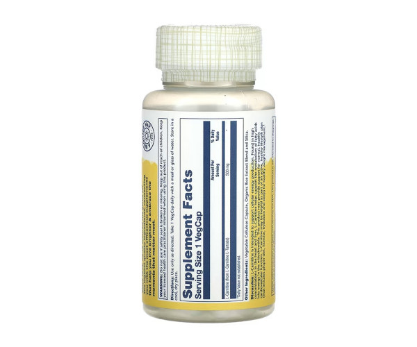 L-Carnitine Free Form 500mg - 30 vcaps
