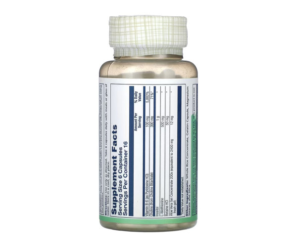 Lipotropic + 1000 - 100 caps