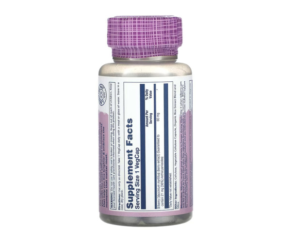 Bilberry Berry Extract 60mg - 60 vcaps