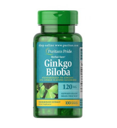 Ginkgo Biloba Standardized Extract 120mg - 100caps
