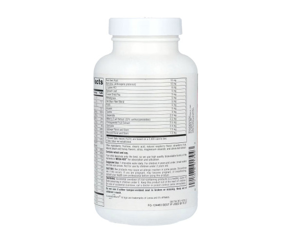 Mega-Kid™ - 120 Wafer Berry