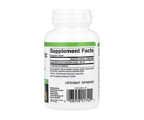 Lactase Enzyme - 60 caps