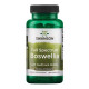 Boswellia Double Strength 800 mg - 60 Caps