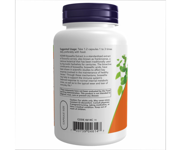 Boswellia Extract 250 mg - 120 vcaps