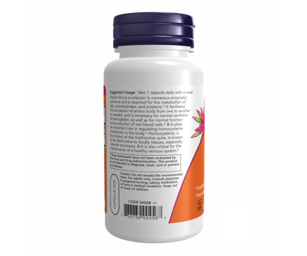 B-6 100mg - 100 caps