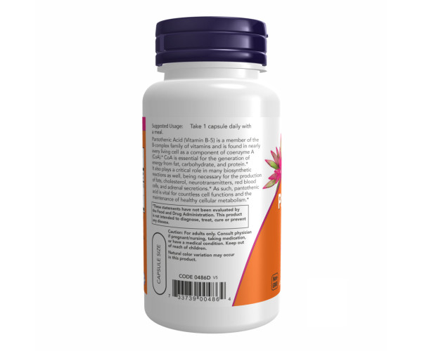 PANTOTHENIC ACID 500mg - 100 vcaps