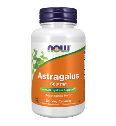 Astragalus 500 mg - 100 vcaps