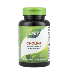 Choline 500 mg - 100 tabs