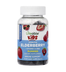 Sambucus Elderberry + Vitamin C and Zinc Kids Sugar Free - 60 gummies