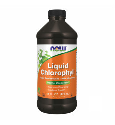 Chlorophyll Liquid Mint - 16 oz