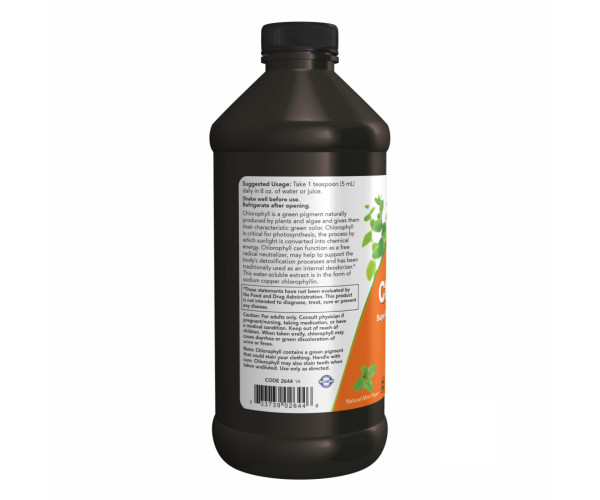 Chlorophyll Liquid Mint - 16 oz