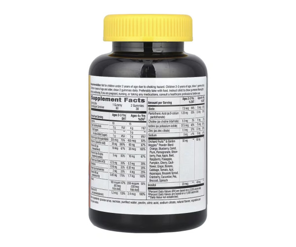 Alive! Children's Gummy Multivitamin, Gluten Free, Made with Pectin - 60 gummies (Пошкоджена етикетка)