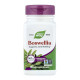 Boswellia Premium Extract - 60 tabs