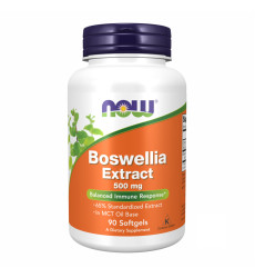 Boswellia Extract 500 mg - 90 sgels