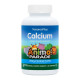 Kids Calcium Chewable - 90 tabs