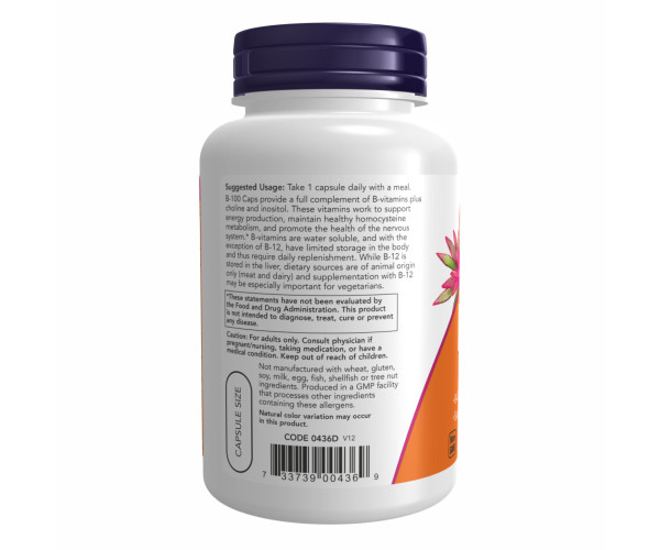 B-100 - 250 vcaps