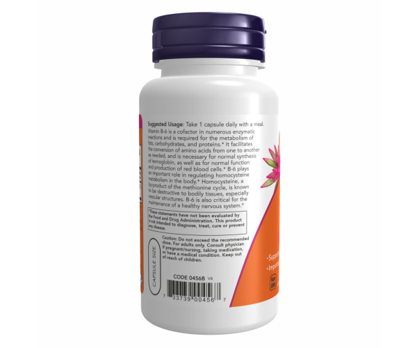 B-6 100mg - 250 vcaps