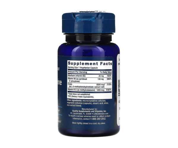 Homocysteine Resist - 60 vcaps