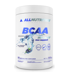 BCAA Max Support Instant - 500g Bllueberry