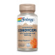 Cordyceps Mushroom Extract 500mg - 60 vcaps