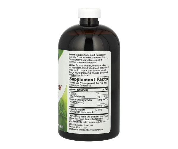 Chlorofresh® Liquid - 16 oz Mint